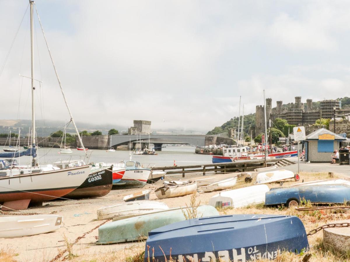 Oakwood Stables Conwy Exterior foto
