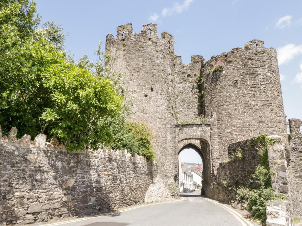Oakwood Stables Conwy Exterior foto
